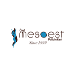 mesoest